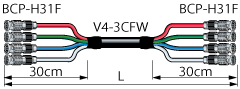 4VS-3CFWH