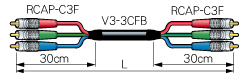 3VS-3CFB-RCAP