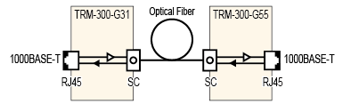 1000BASE-T Optical Converters wiring