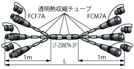 F3-fcc-7n