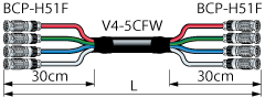 4VS-5CFWH